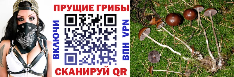 Псилоцибиновые грибы мицелий  Лянтор 